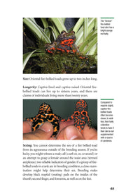 Popular Amphibians