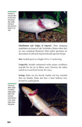 Load image into Gallery viewer, Popular Amphibians
