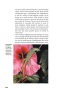 Load image into Gallery viewer, Green Anoles
