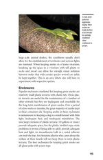 Green Anoles