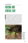 Load image into Gallery viewer, Red-Eared Sliders
