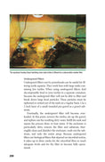Load image into Gallery viewer, Red-Eared Sliders

