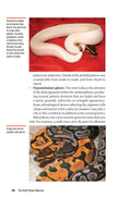 Load image into Gallery viewer, The Ball Python Manual
