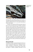 Load image into Gallery viewer, Boa Constrictor Manual
