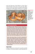 Load image into Gallery viewer, Garter Snakes and Water Snakes
