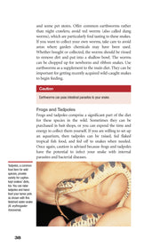 Garter Snakes and Water Snakes