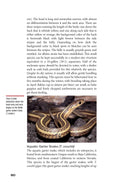 Load image into Gallery viewer, Garter Snakes and Water Snakes
