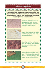 Lizards