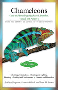 Load image into Gallery viewer, Chameleons
