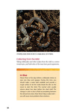 Milksnakes