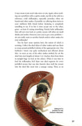 Load image into Gallery viewer, Milksnakes

