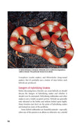 Load image into Gallery viewer, Milksnakes
