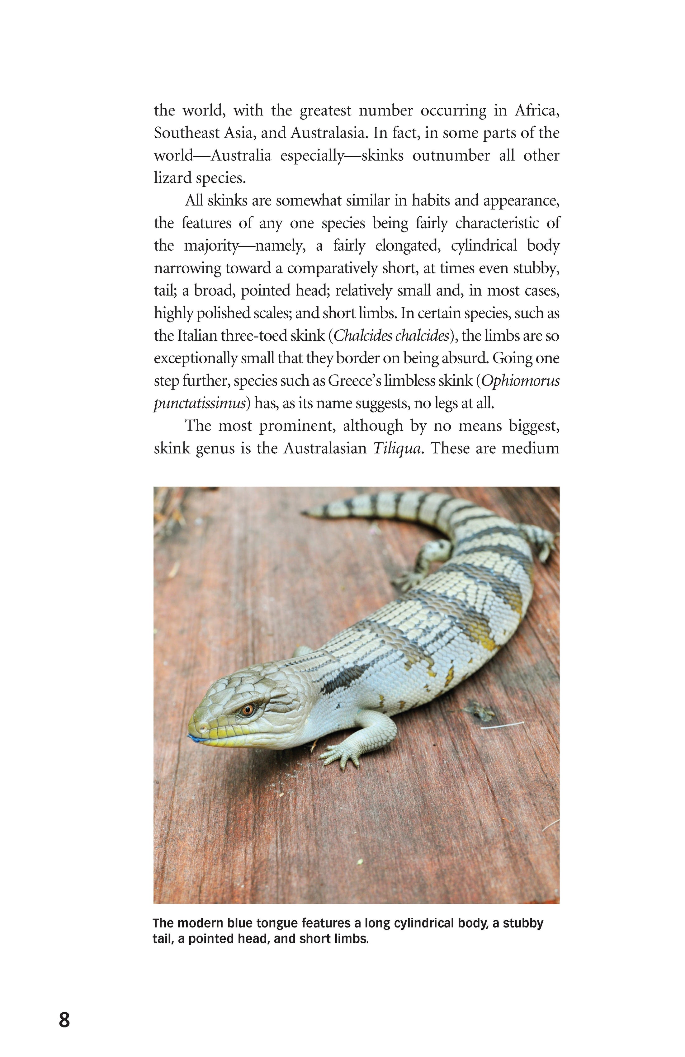 Blue-Tongued Skinks