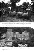 Load image into Gallery viewer, Charismatic Cows and Beefcake Bulls
