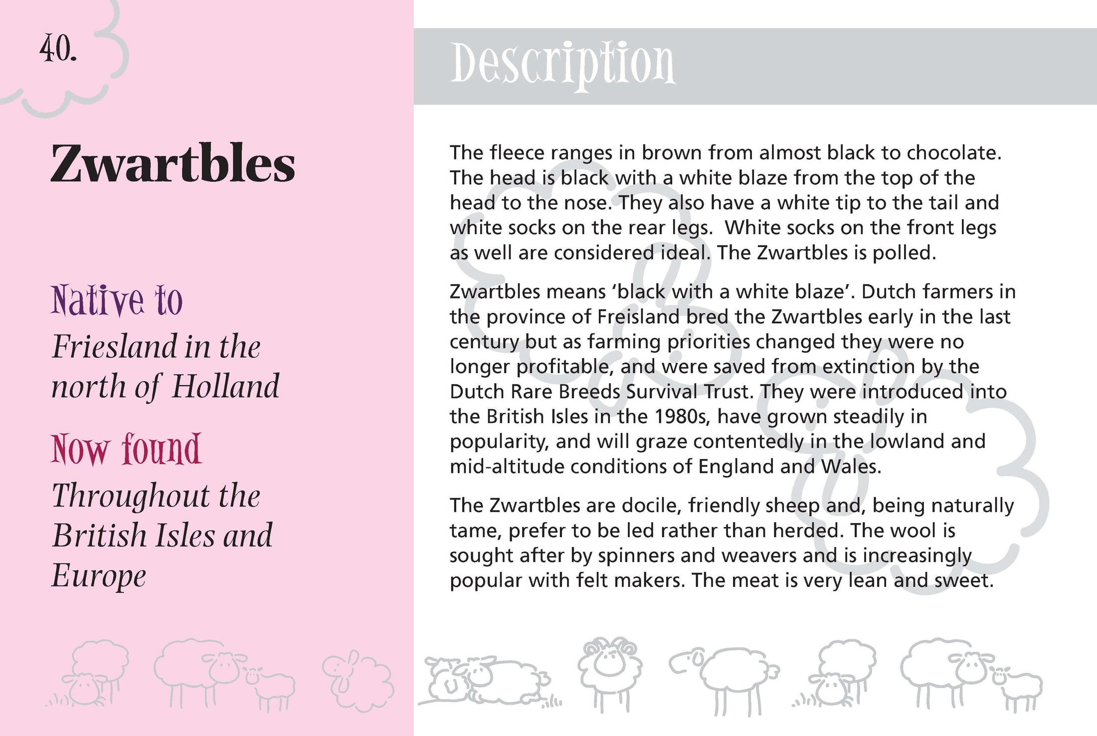 Know More Sheep