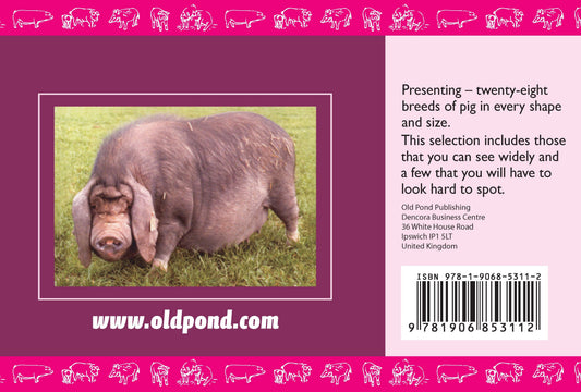 Know Your Pigs