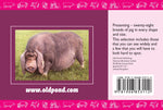 Know Your Pigs