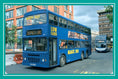 Load image into Gallery viewer, Know Your Buses
