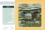 Know Your Ducks