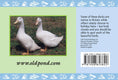 Load image into Gallery viewer, Know Your Ducks
