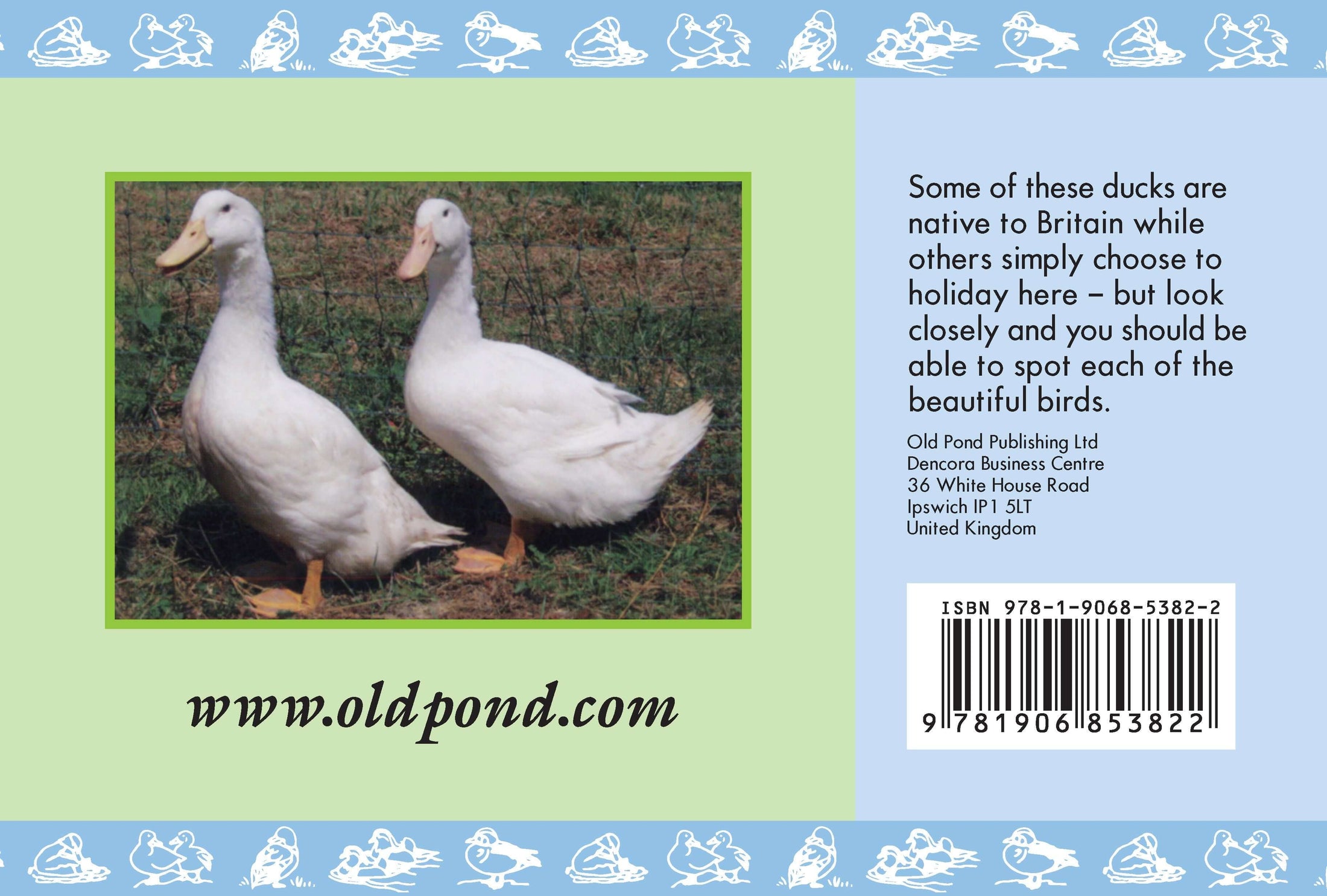Know Your Ducks