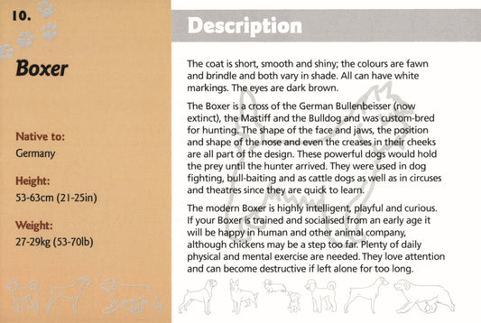 Know Your Dogs