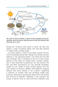 Load image into Gallery viewer, River Habitats for Coarse Fish
