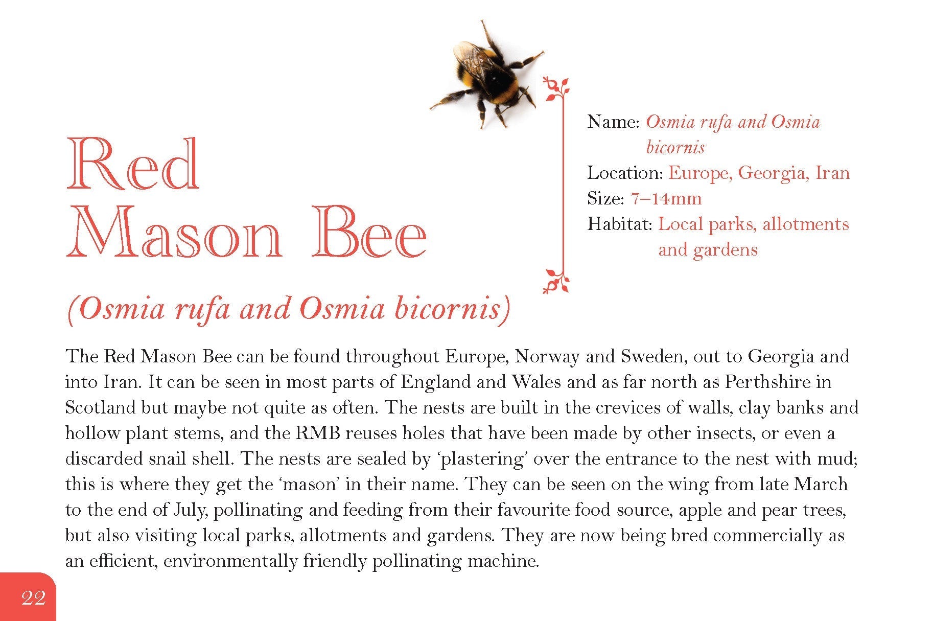 Know Your Bees