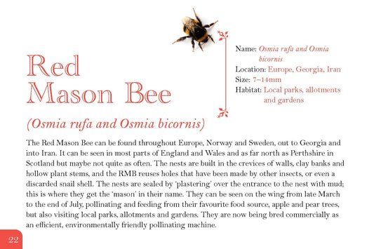 Know Your Bees