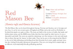 Know Your Bees