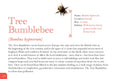 Load image into Gallery viewer, Know Your Bees
