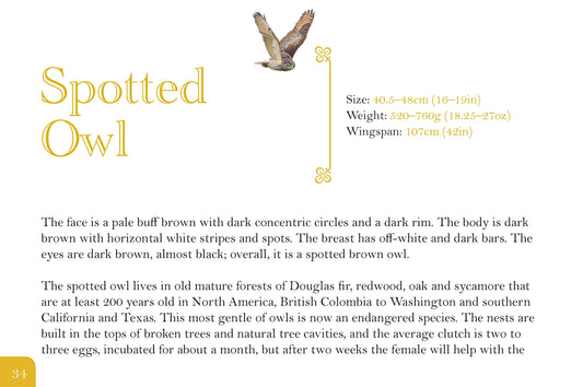 Know Your Owls