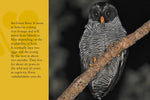 Know Your Owls