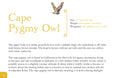Load image into Gallery viewer, Know Your Owls
