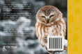 Load image into Gallery viewer, Know Your Owls
