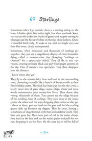 Cows and Catastrophes