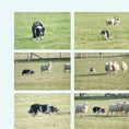 Load image into Gallery viewer, The Dales Vet
