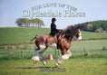 Load image into Gallery viewer, For Love of the Clydesdale Horse
