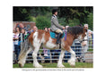 Load image into Gallery viewer, For Love of the Clydesdale Horse

