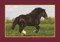 Load image into Gallery viewer, Know Your Horses
