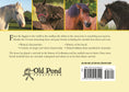 Load image into Gallery viewer, Know Your Horses
