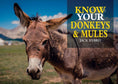 Load image into Gallery viewer, Know Your Donkeys & Mules
