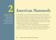 Know Your Donkeys & Mules