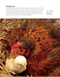 Load image into Gallery viewer, What the Cluck?
