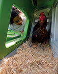 Load image into Gallery viewer, What the Cluck?
