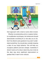 The Big Book of Simple Solutions