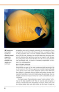 Load image into Gallery viewer, Marine Aquariums
