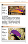 Load image into Gallery viewer, Marine Aquariums
