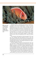 Load image into Gallery viewer, Marine Aquariums
