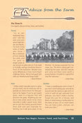 Load image into Gallery viewer, Beef Cattle
